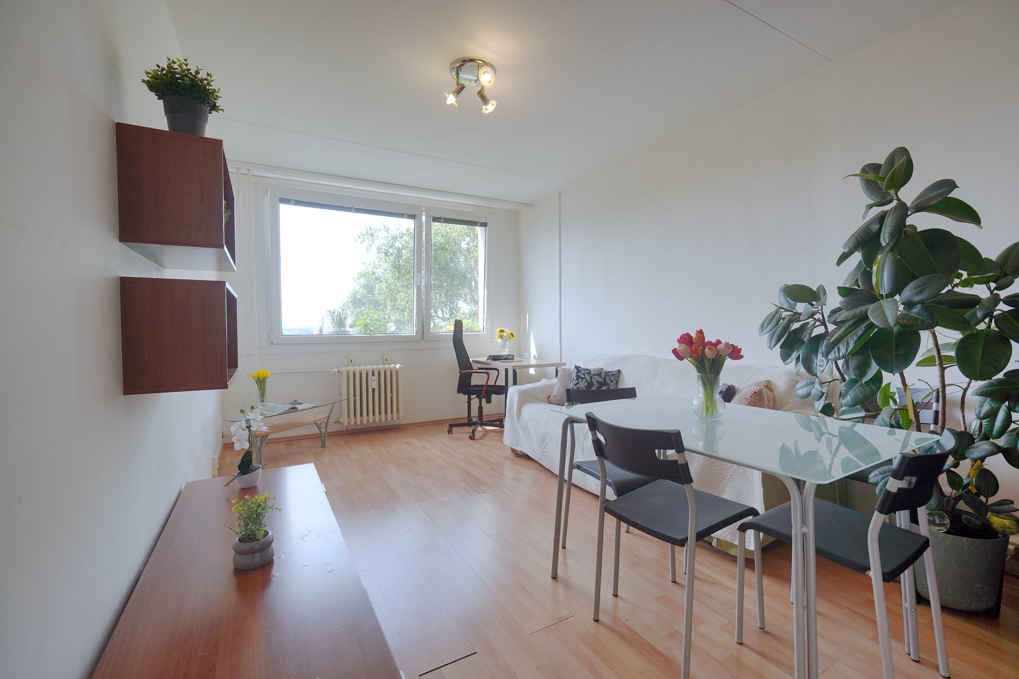 Prodej bytu 2+kk 45 m2 Klukovická, Praha