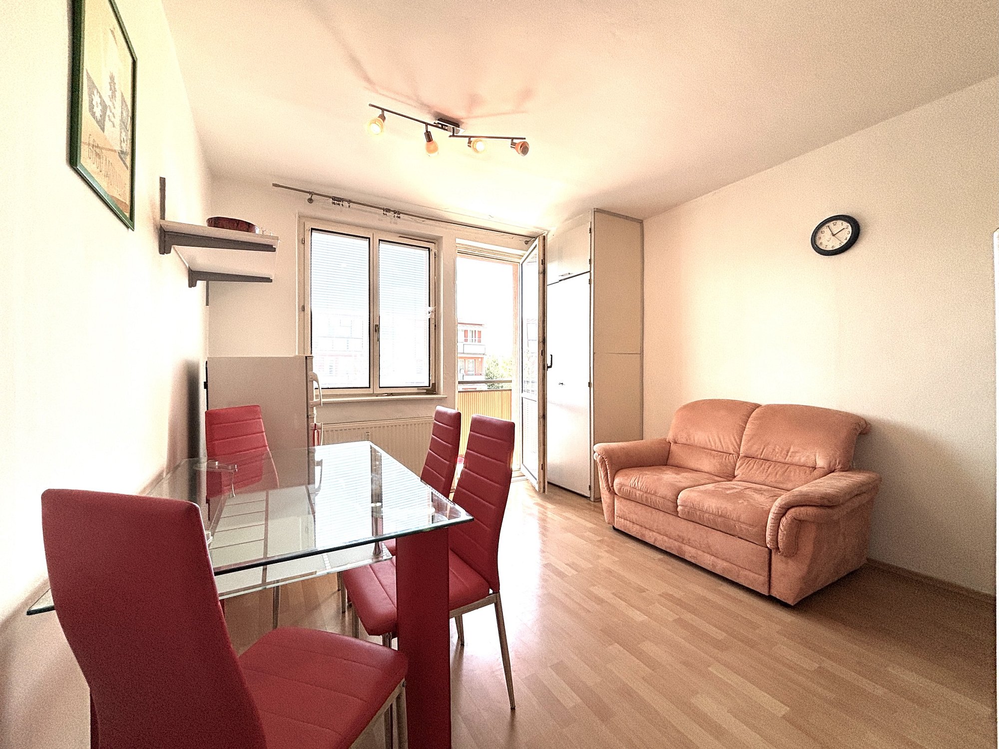 Rozľahlý 1i byt s balkónom / F.P. Drobiševa, PK / povolené zvieratko
